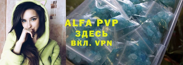 ПСИЛОЦИБИНОВЫЕ ГРИБЫ Вязьма
