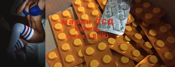 ПСИЛОЦИБИНОВЫЕ ГРИБЫ Вязьма