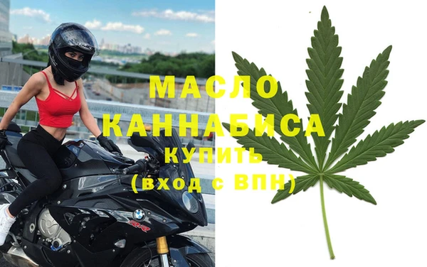 индика Горно-Алтайск
