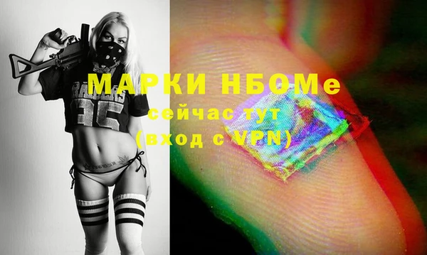 индика Горно-Алтайск