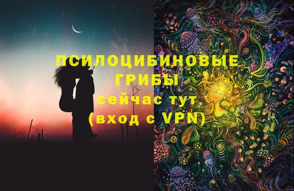 ешки Горнозаводск