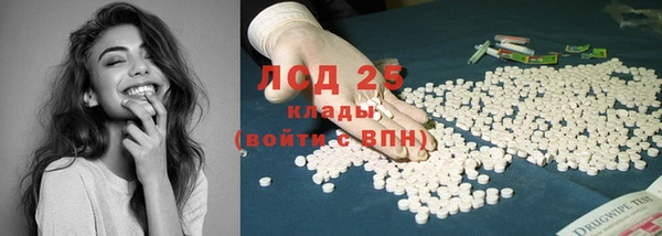 ПСИЛОЦИБИНОВЫЕ ГРИБЫ Вязьма